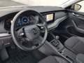 Skoda Octavia Octavia Wagon 2.0 tdi evo Executive 115cv Blu/Azzurro - thumbnail 20