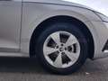 Skoda Octavia Octavia Wagon 2.0 tdi evo Executive 115cv Blu/Azzurro - thumbnail 6