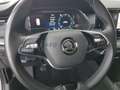 Skoda Octavia Octavia Wagon 2.0 tdi evo Executive 115cv Blu/Azzurro - thumbnail 23