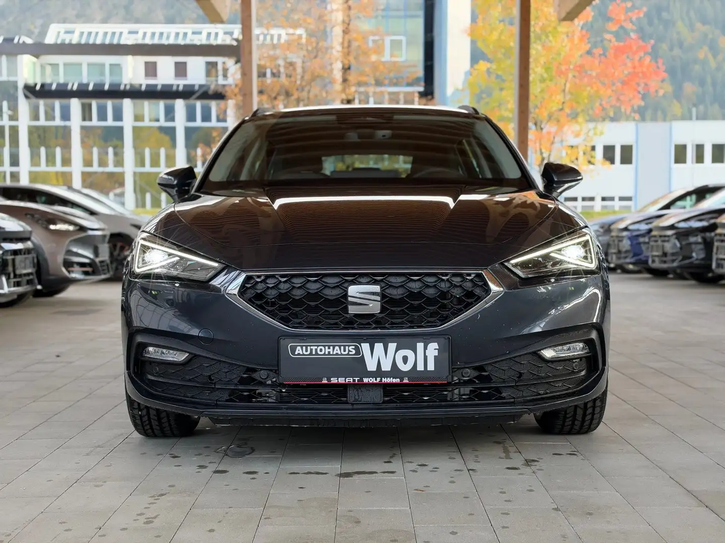 SEAT Leon Style Edition 1.5 eTSI DSG Grau - 2