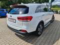 Kia Sorento Platinum Edition 4WD AHK Weiß - thumbnail 2