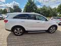 Kia Sorento Platinum Edition 4WD AHK Weiß - thumbnail 10