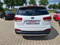 Kia Sorento Platinum Edition 4WD AHK Weiß - thumbnail 8