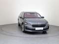 Skoda Superb Selection TDI DSG Grau - thumbnail 2