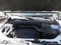 Land Rover Freelander 2.2 eD4 2WD S.W. S Weiß - thumbnail 15