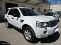 Land Rover Freelander 2.2 eD4 2WD S.W. S Weiß - thumbnail 3