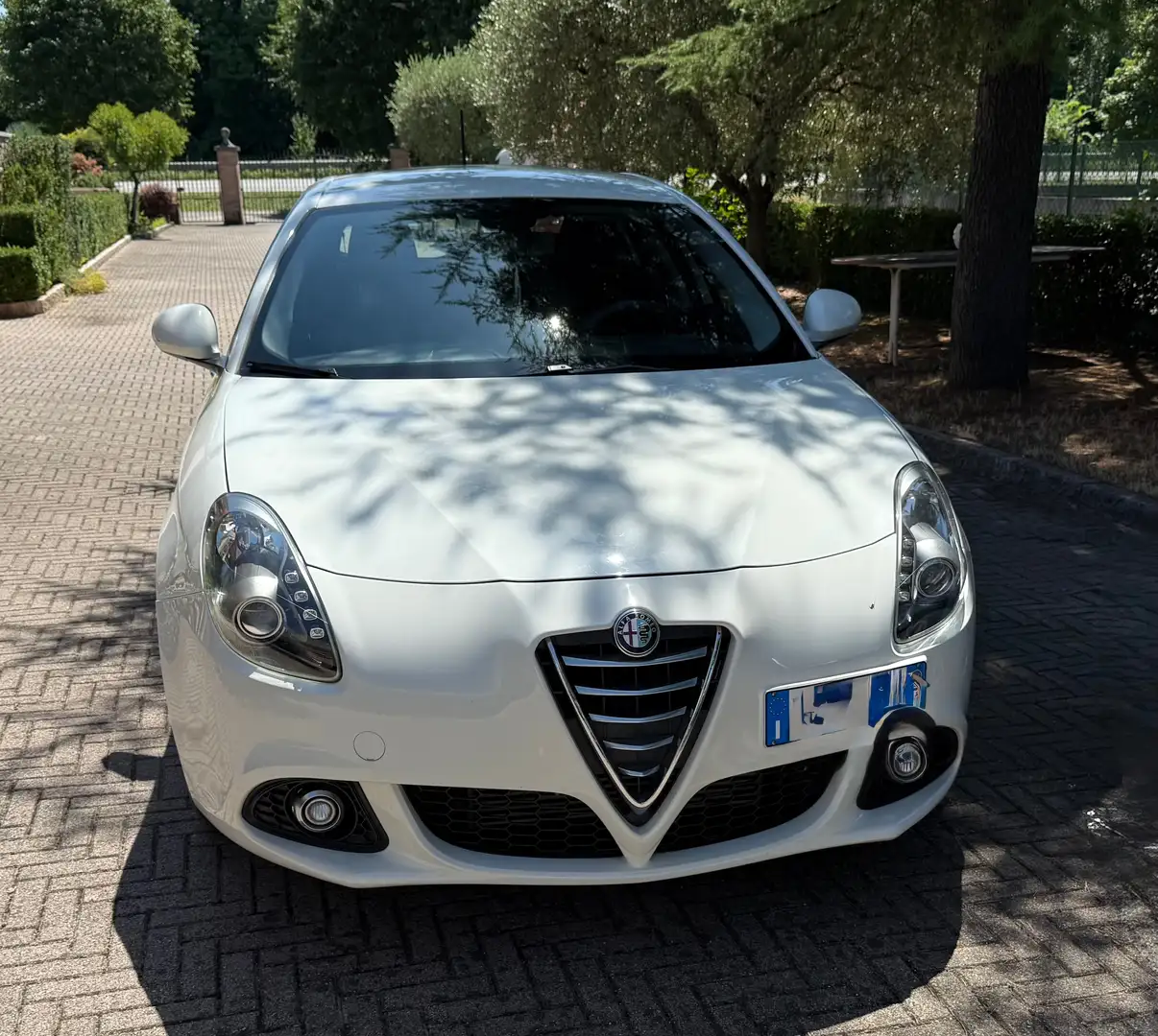 Alfa Romeo Giulietta 1.6 jtdm Progression Distribuzione km Po 88.700 Bianco - 2