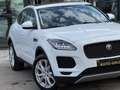 Jaguar E-Pace 2.0 D 150CV/PANO/CAMERA/XENON/FULL/1PROP CARNET Blanc - thumbnail 8