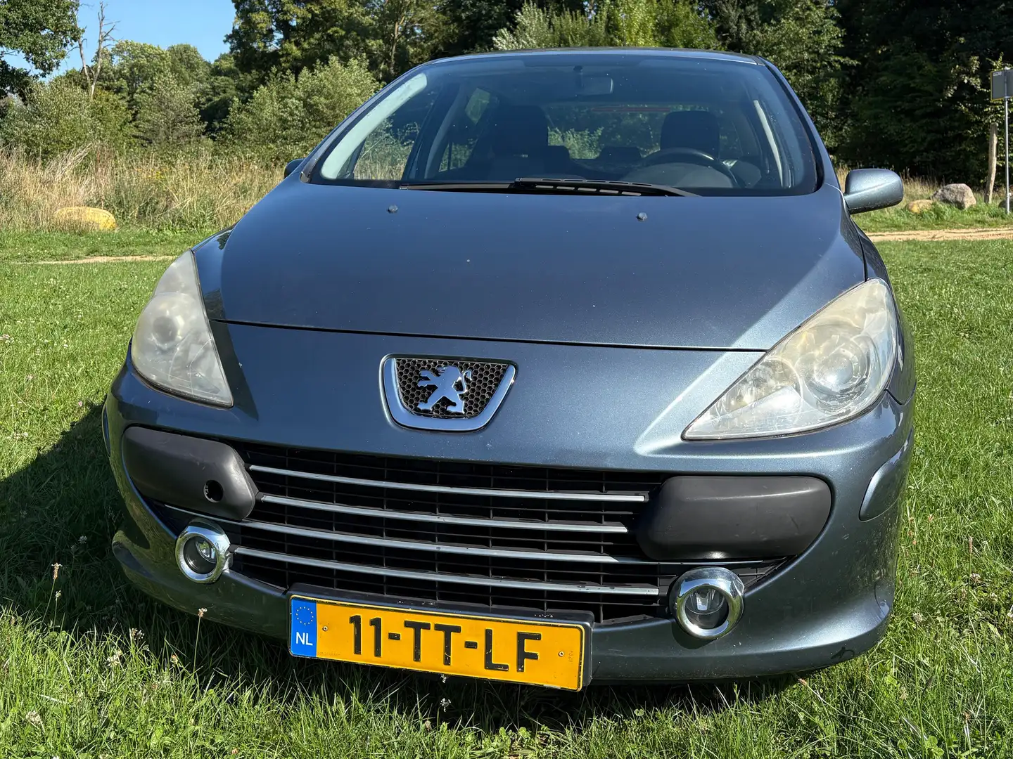 Peugeot 307 307 1.6-16V Oxygo - 1