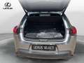 Lexus UX 250h UX 250 Hybrid Midnight Grigio - thumbnail 13