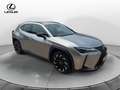 Lexus UX 250h UX 250 Hybrid Midnight Grigio - thumbnail 8