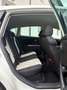 SEAT Leon Leon Sport 1,8 TSI DSG Sport Weiß - thumbnail 11