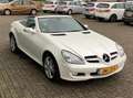 Mercedes-Benz SLK 200 K. Automaat, nekverwarming, xenon, parelmoer wit w Wit - thumbnail 16