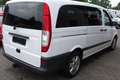 Mercedes-Benz Vito 115 CDI lang (639.703) Weiß - thumbnail 3