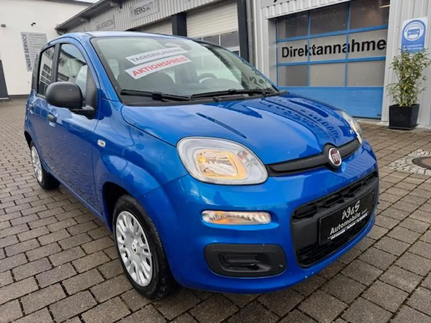 Fiat Panda MY25 1.0 GSE *5-Sitzer*GRA* PDC*Bluet.* Bleu - 2