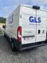 Fiat Ducato Maxi L3 - thumbnail 6
