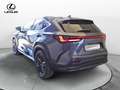 Lexus NX 300 NX Plug-in 4WD Premium + Grau - thumbnail 5