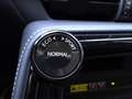 Lexus NX 300 NX Plug-in 4WD Premium + Grau - thumbnail 21