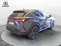 Lexus NX 300 NX Plug-in 4WD Premium + Grau - thumbnail 7
