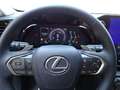 Lexus NX 300 NX Plug-in 4WD Premium + Grau - thumbnail 15