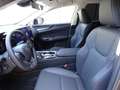 Lexus NX 300 NX Plug-in 4WD Premium + Grau - thumbnail 9