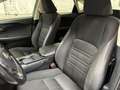 Lexus NX 300 h Allrad Business Braun - thumbnail 5