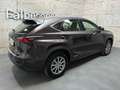 Lexus NX 300 h Allrad Business Braun - thumbnail 4