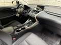 Lexus NX 300 h Allrad Business Braun - thumbnail 7
