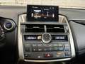 Lexus NX 300 h Allrad Business Braun - thumbnail 11