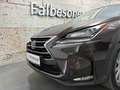 Lexus NX 300 h Allrad Business Braun - thumbnail 2