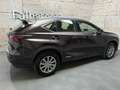Lexus NX 300 h Allrad Business Braun - thumbnail 3