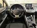 Lexus NX 300 h Allrad Business Braun - thumbnail 14