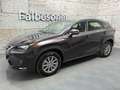 Lexus NX 300 h Allrad Business Braun - thumbnail 1