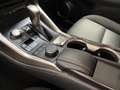 Lexus NX 300 h Allrad Business Braun - thumbnail 10