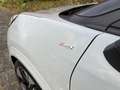 Ford Puma ST-Line X *NEUZUSTAND* Gris - thumbnail 18
