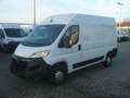 Opel Movano C L2H2 3,5t Edition Klima Temp PDC 55150K Weiß - thumbnail 1