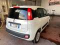 Fiat Panda 1.0 FireFly S&S Hybrid City Life Bianco - thumbnail 6