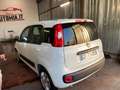 Fiat Panda 1.0 FireFly S&S Hybrid City Life Bianco - thumbnail 4