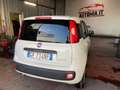 Fiat Panda 1.0 FireFly S&S Hybrid City Life Bianco - thumbnail 5
