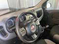 Fiat Panda 1.0 FireFly S&S Hybrid City Life Bianco - thumbnail 11