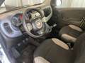 Fiat Panda 1.0 FireFly S&S Hybrid City Life Bianco - thumbnail 8
