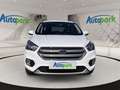 Ford Kuga TREND 1.5L TDCI 120PS PWR Weiß - thumbnail 2