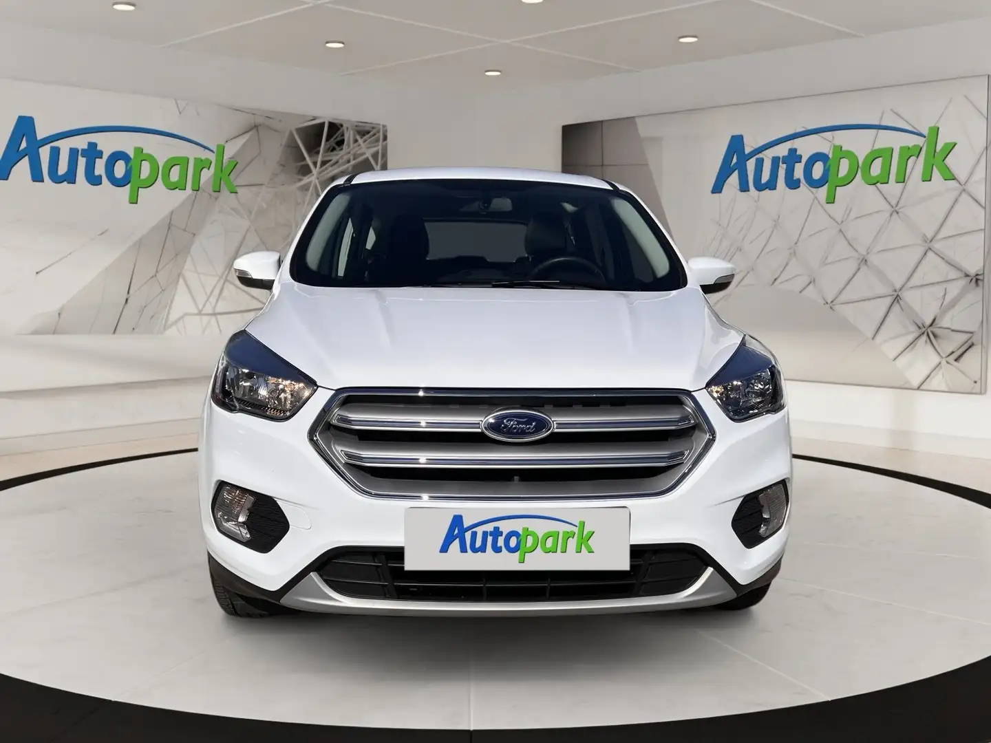 Ford Kuga TREND 1.5L TDCI 120PS PWR Weiß - 2
