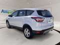 Ford Kuga TREND 1.5L TDCI 120PS PWR Weiß - thumbnail 6