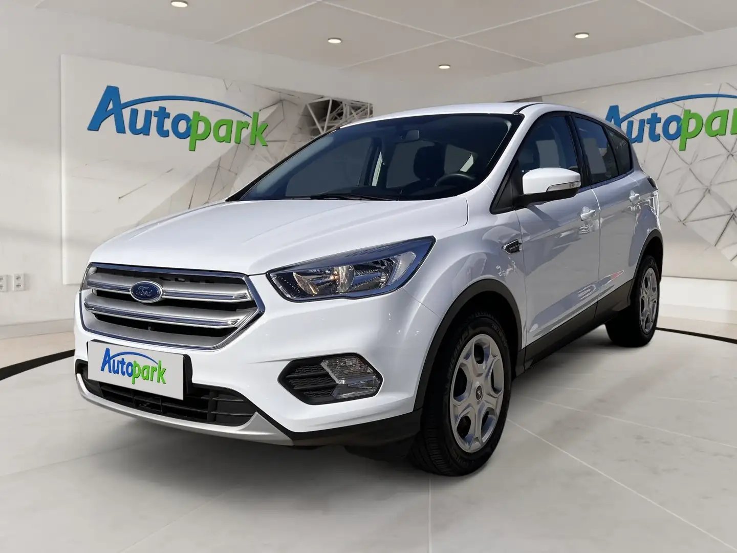 Ford Kuga TREND 1.5L TDCI 120PS PWR Weiß - 1