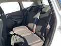 Ford Kuga TREND 1.5L TDCI 120PS PWR Weiß - thumbnail 17
