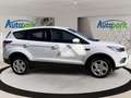 Ford Kuga TREND 1.5L TDCI 120PS PWR Weiß - thumbnail 4