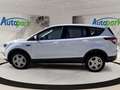 Ford Kuga TREND 1.5L TDCI 120PS PWR Weiß - thumbnail 5