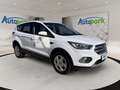 Ford Kuga TREND 1.5L TDCI 120PS PWR Weiß - thumbnail 3