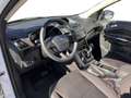 Ford Kuga TREND 1.5L TDCI 120PS PWR Weiß - thumbnail 15